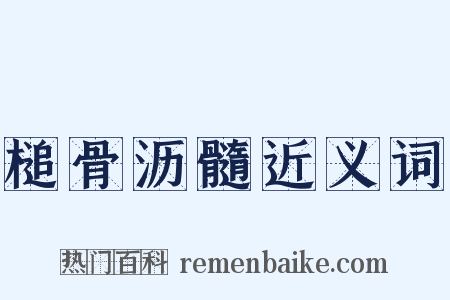 槌骨沥髓近义词是什么意思的图片